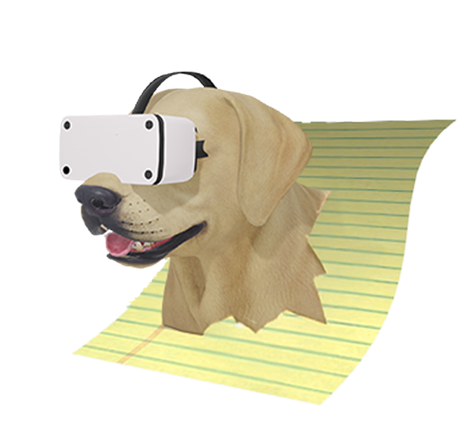 Dog with paper